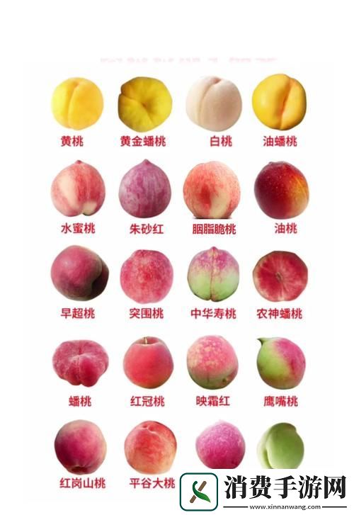 蜜桃产品一二三产区的独特魅力与经济潜力