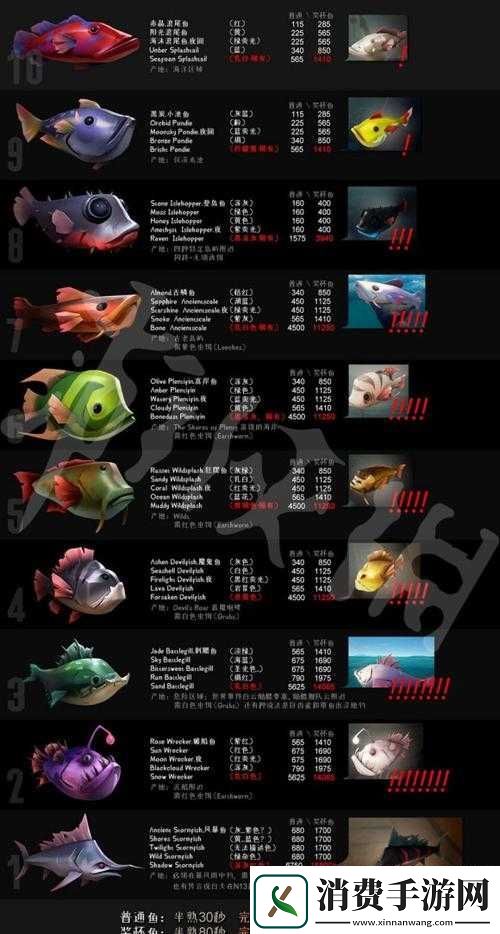 盗贼之海新手必看