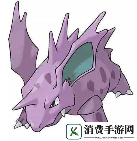 口袋妖怪3D紫色装备精选排行