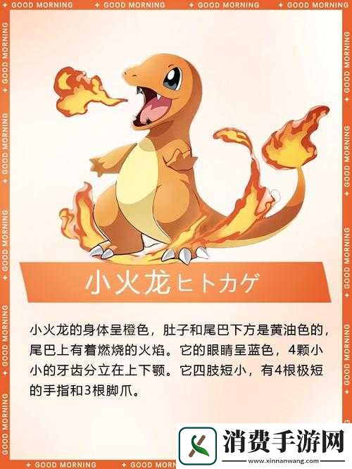 口袋妖怪3D游戏中小火龙至强大喷火龙的完整进化流程详解