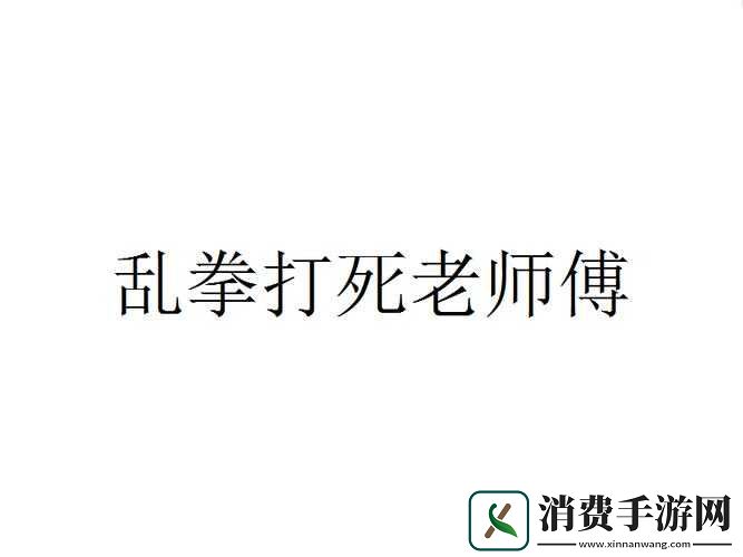 乱拳打死老师傅