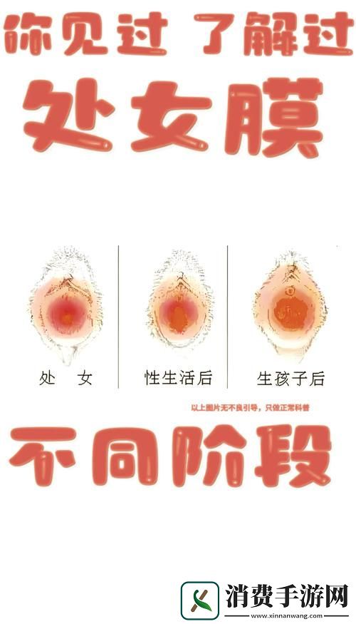 探讨“处破女处破全过第一次”的情感与心理