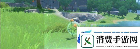 说说原神带有黄色的采集物在什么地方