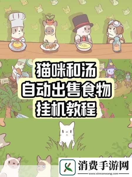 揭秘猫咪和汤