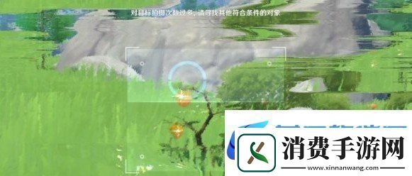 说说原神带有黄色的采集物在什么地方