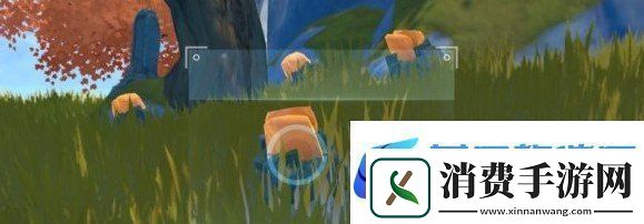 说说原神带有黄色的采集物在什么地方