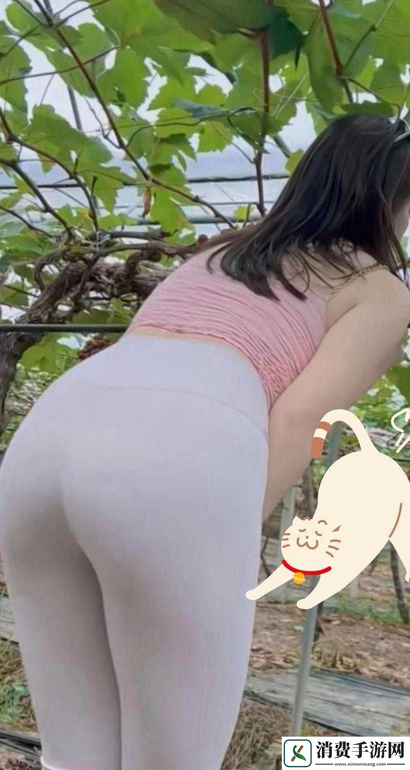 探索大白屁股XXX的奥秘