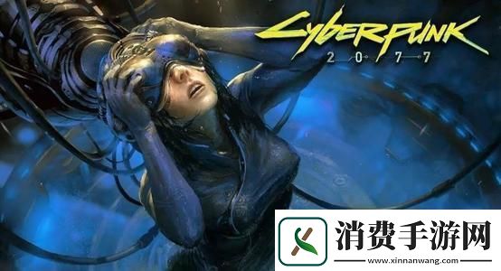 赛博朋克2077联机介绍