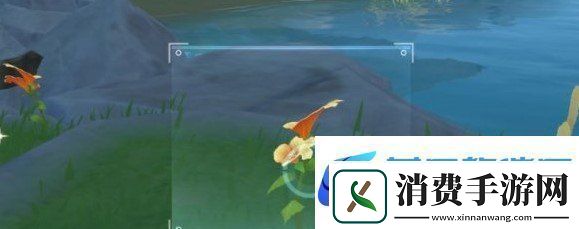 说说原神带有黄色的采集物在什么地方