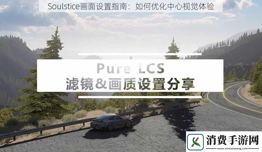 Soulstice画面设置指南