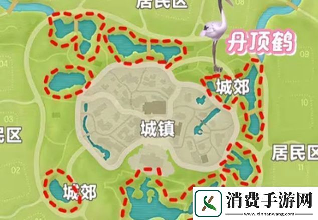 心动小镇新春季第3周4只鸟位置