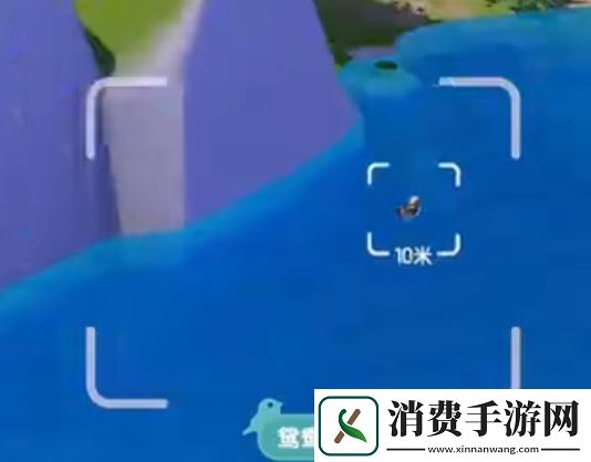 心动小镇新春季第3周4只鸟位置