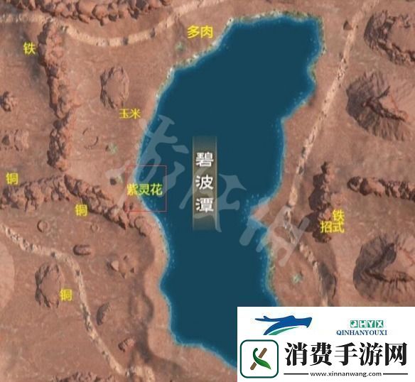 太荒初境紫灵花哪里采集太荒初境紫灵花分布图怎么获得