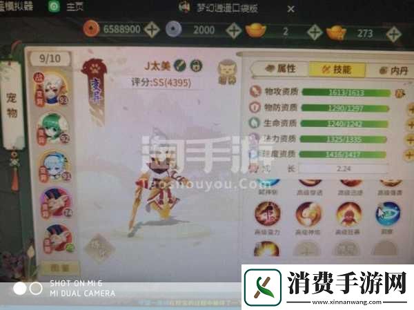 梦幻逍遥口袋版