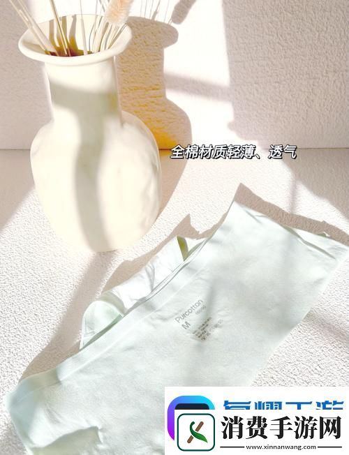 探索时尚与舒适的结合——蜜桃91精品㊙️入口内裤