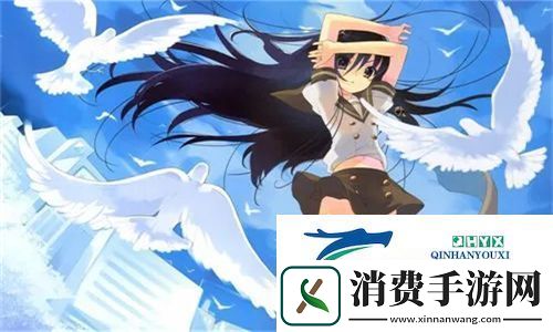 黑土ちゃんが腿法技巧