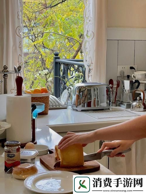 老赵抱着月月在厨房做欧美