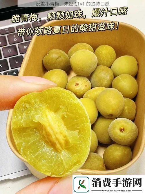 在岁月的涟漪中