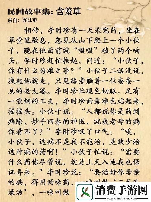 深度剖析含羞草免费观看电视剧的背景故事
