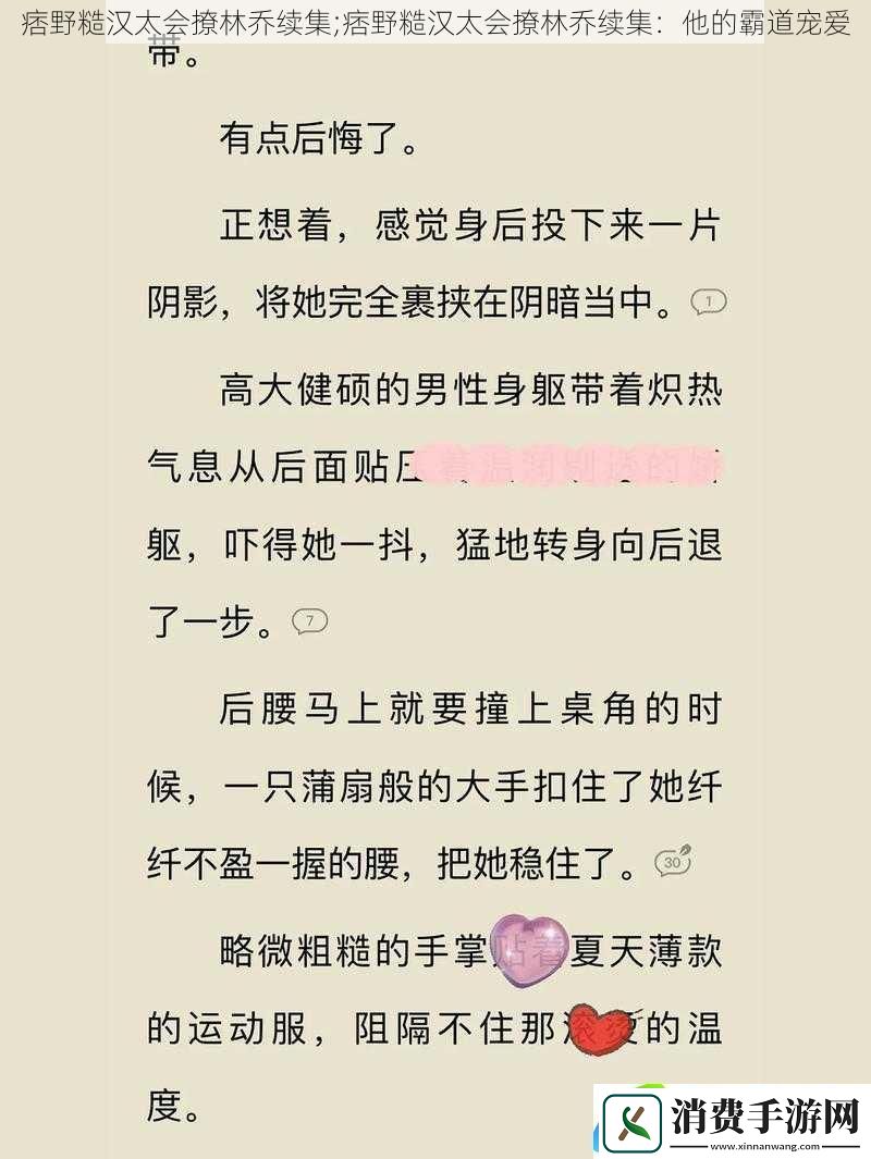 痞野糙汉太会撩林乔续集;痞野糙汉太会撩林乔续集