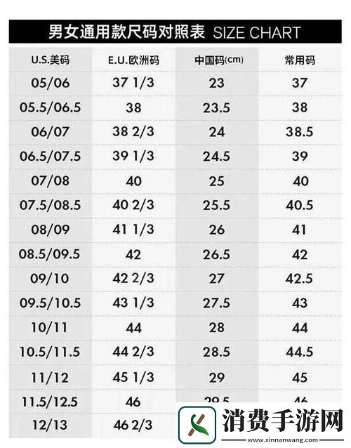 欧亚尺码专线免费2024