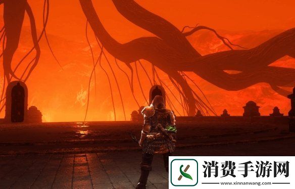 黑暗之魂2纹理重制Mod