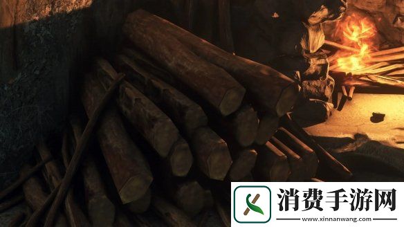 黑暗之魂2纹理重制Mod