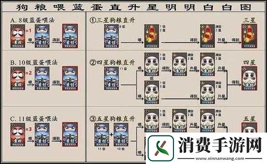 阴阳师高手必备