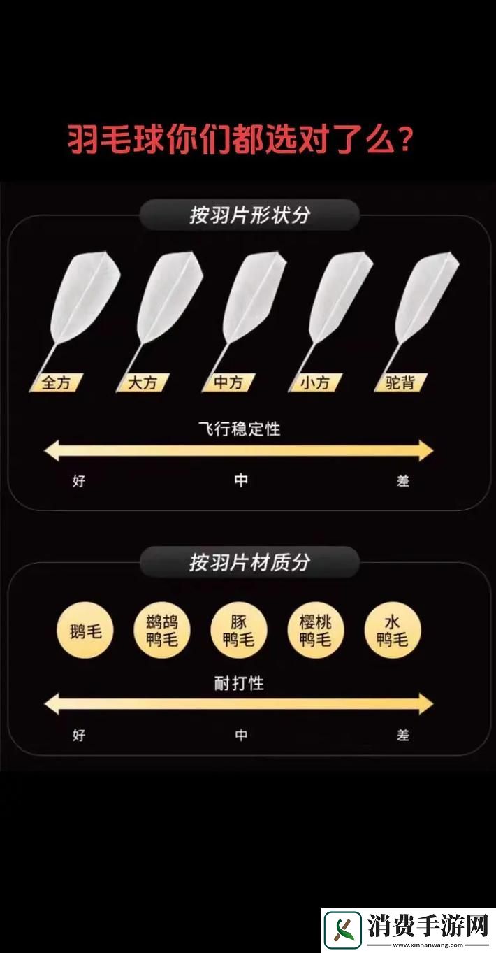 揭示AAAA级毛和AAAA的区别