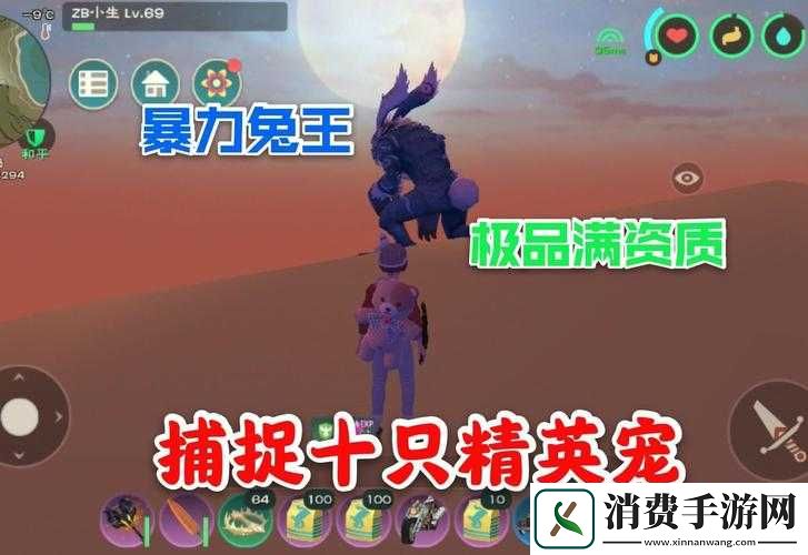 如何高效捕捉与驯服创造与魔法中的暴力兔王