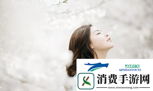 菠萝蜜在线观看免费观看电视