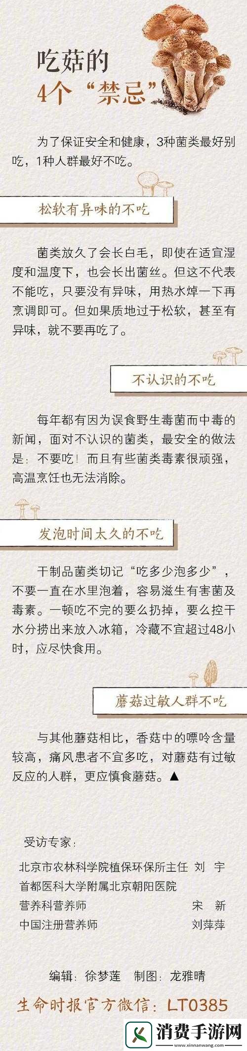 蘑菇视频风险版使用指南