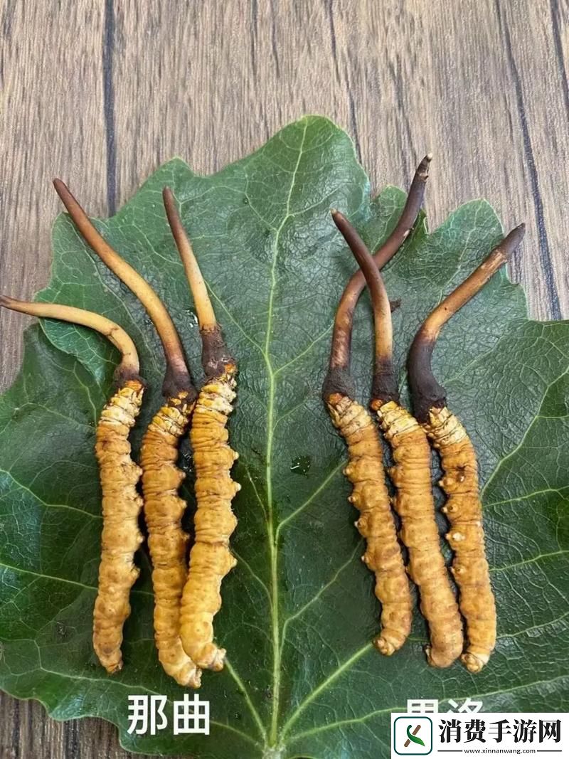 探究嫩草精产一二三产区各有何不同的独特之处