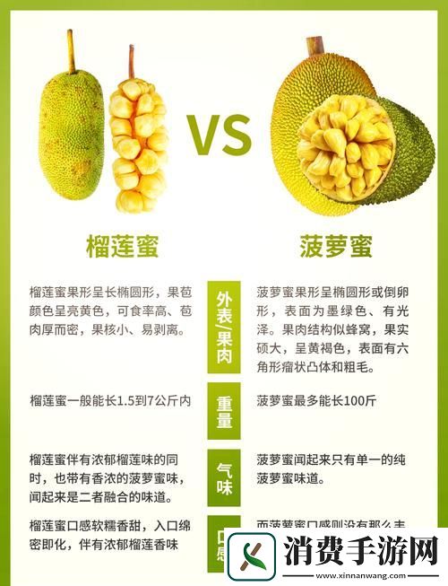 探索榴莲香蕉苹果哈密瓜水蜜桃的甜蜜世界