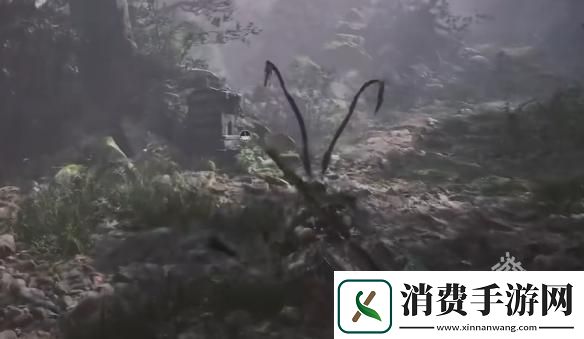 黑神话悟空水帘洞土地庙位置图文介绍