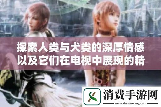 探索人类与犬类的深厚情感以及它们在电视中展现的精彩瞬间