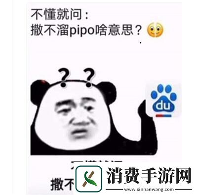 你个撒不溜pipo梗意思、含义、出处介绍