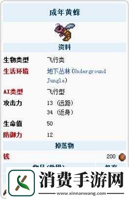 泰拉瑞亚异星蜂后如何高效探索