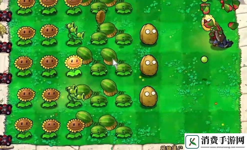 植物大战僵尸植物僵尸怎么过关