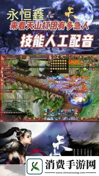 墨剑江湖天山连招流阵容深度解析与攻略