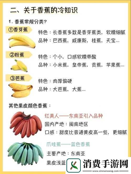 香蕉APP国产怎么样