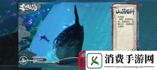 妄想山海普通异兽月亮鱼资料介绍