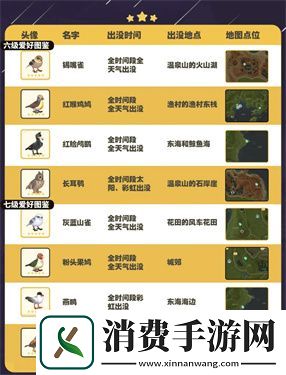 心动小镇五子雀在哪里出现