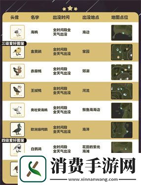 心动小镇五子雀在哪里出现