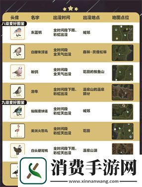 心动小镇五子雀在哪里出现