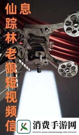 探索仙踪林老狼信息网金属产业加工网的最新动态与行业趋势