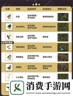 心动小镇五子雀在哪里出现