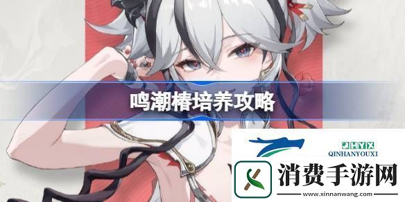 鸣潮椿声骸武器阵容推荐