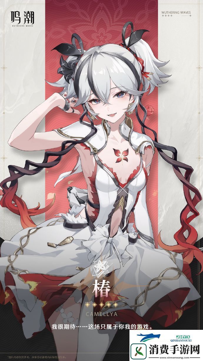 鸣潮椿声骸武器阵容推荐