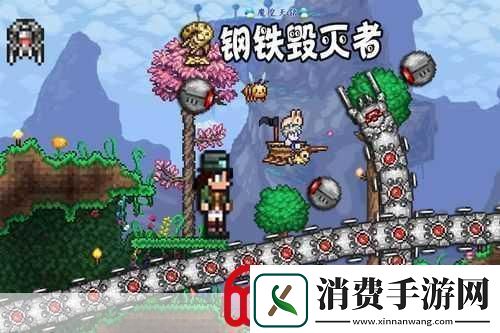 泰拉瑞亚探险新揭秘火龙怪骑士的荣耀掉落